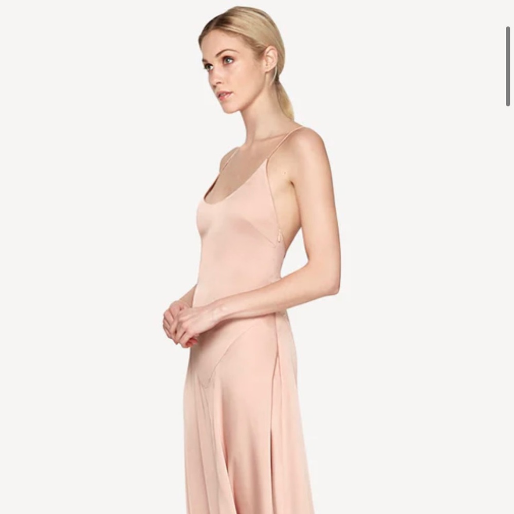 Fame & Partners | The Andromeda RTW Dress